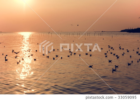 Sunset Scene with Seagulls Landscape 33059095