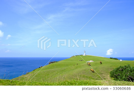 Yonagunijima Higasaki 33060686