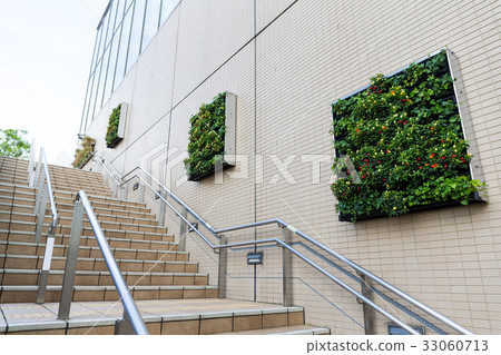 Green plant on the wall 33060713