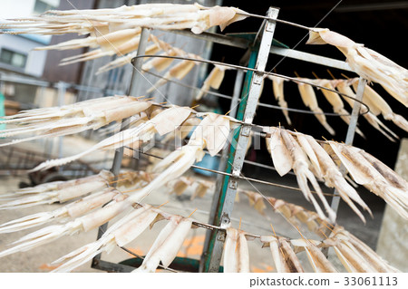 Drying squid on the stand Drying squid on the stand 33061113