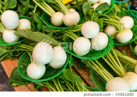 White radish in market White radish in market 33061880
