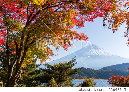 Mt.Fuji in autumn Mt.Fuji in autumn 33062245