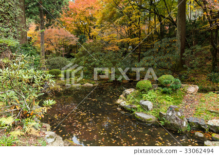 Beautiful garden in Japan 33062494