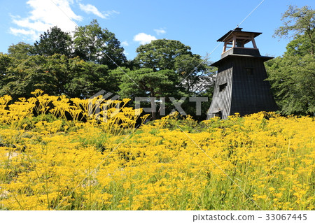 Numata公園 Numata公園 33067445