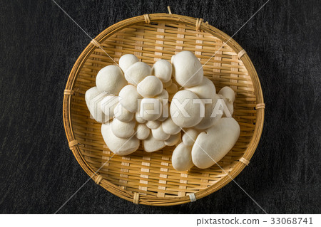 白蘑菇白蘑菇 33068741