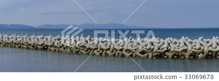 淡路島的四腳海鷗“海鷗的大廈？” 33069678