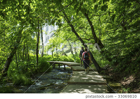 People who enjoy the forest bath People who enjoy the forest bath 33069810