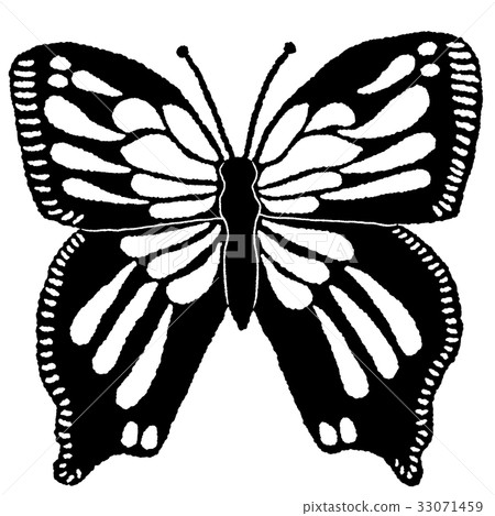 Butterfly  33071459