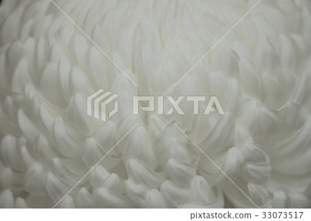 Okuwa Okuwa 33073517