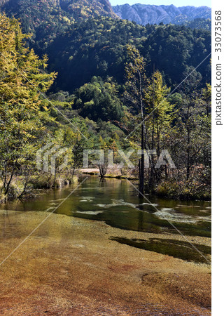 Taiyo池塘在秋天 33073568