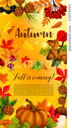 Autumn banner with pumpkin and fallen leaves - Stock Illustration ...