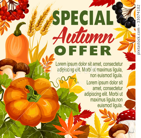 Autumn sale, fall season special offer poster Autumn sale, fall season special offer poster 33074182