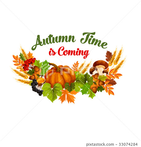Autumn time vector poster of fall harvest - Stock Illustration ...