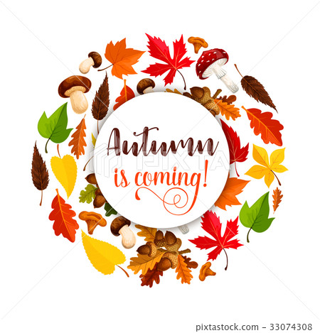 Autumn vector poster of maple leaf fall Autumn vector poster of maple leaf fall 33074308