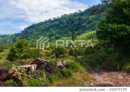 Beautiful Natural View at Khlong Yai, Thailand. 33075570