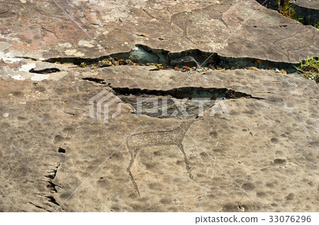A petroglyph panel with a variety of humanoid and 33076296