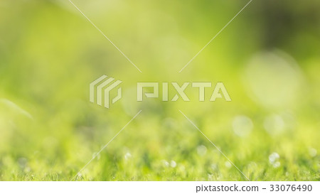green grass on green background 33076490