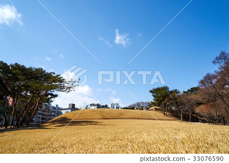 Jeongryeunggung, Gangnam-gu, Seoul, Korea 33076590