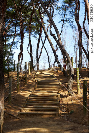 韓國首爾江南區Jeongryeunggung 33076620