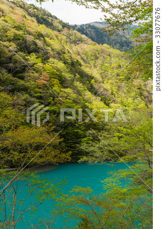 The scenery of Shizuoka Shibakatakyo The scenery of Shizuoka Shibakatakyo 33077676