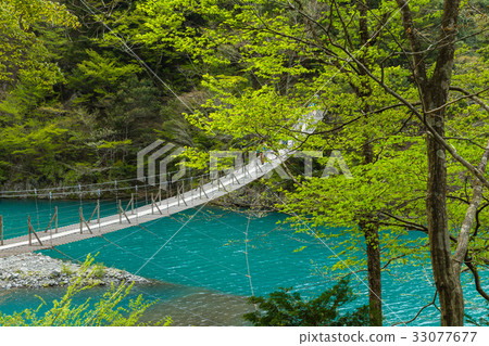 Suspension bridge of dream of Shizuoka Sumatakyo Suspension bridge of dream of Shizuoka Sumatakyo 33077677