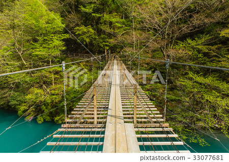 Suspension bridge of dream of Shizuoka Sumatakyo Suspension bridge of dream of Shizuoka Sumatakyo 33077681