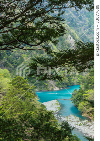 Suspension bridge of dream of Shizuoka Sumatakyo Suspension bridge of dream of Shizuoka Sumatakyo 33077689
