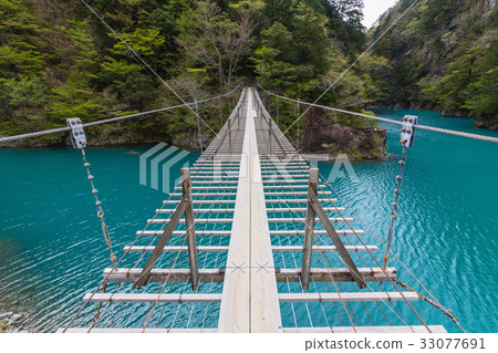 靜岡Sumatakyo的夢想吊橋 靜岡Sumatakyo的夢想吊橋 33077691
