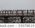 在雪地裡的鳥 33078610