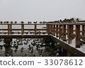 在雪地裡的鳥 33078612