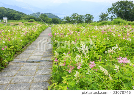 Goryu Goryu 33078746