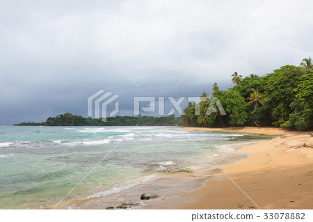 Beach forest and storm sky Beach forest and storm sky 33078882