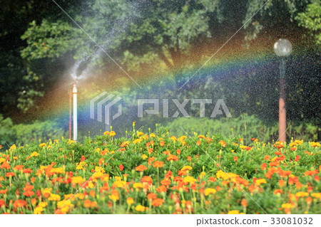Marie Gordo Field and Sprinkler and Rainbow 33081032