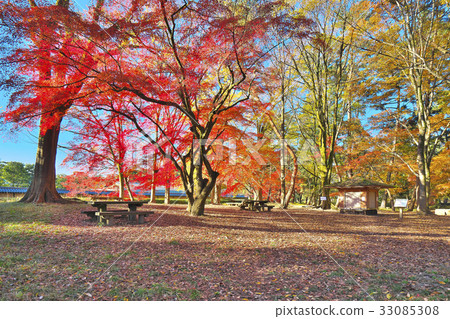 京都花園在深秋 京都花園在深秋 33085308