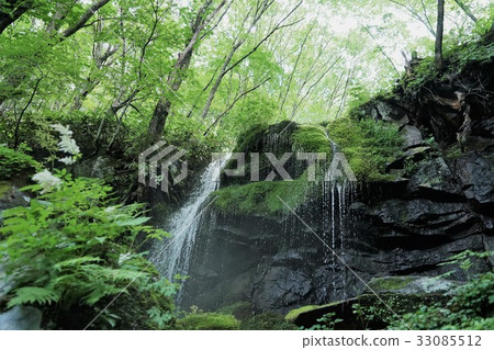 Tamare no Taki Falls (Gunma Prefecture Agatsuma-gun Tsumagoi Muraokazawa Onsen) Tamare no Taki Falls (Gunma Prefecture Agatsuma-gun Tsumagoi Muraokazawa Onsen) 33085512