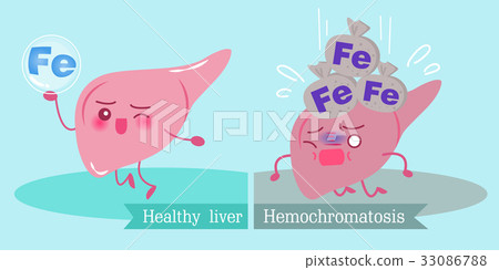 liver with health concept 33086788