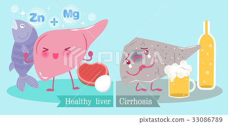 liver with health concept 33086789