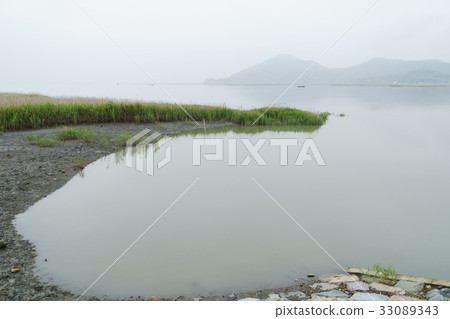 蘆葦,藍蘆葦,順天灣,海邊,順天,全南 蘆葦,藍蘆葦,順天灣,海邊,順天,全南 33089343