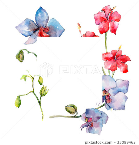 Wildflower orchid flower frame in a watercolor 33089462