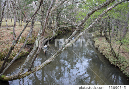 Senjogahara Senjogahara 33090545