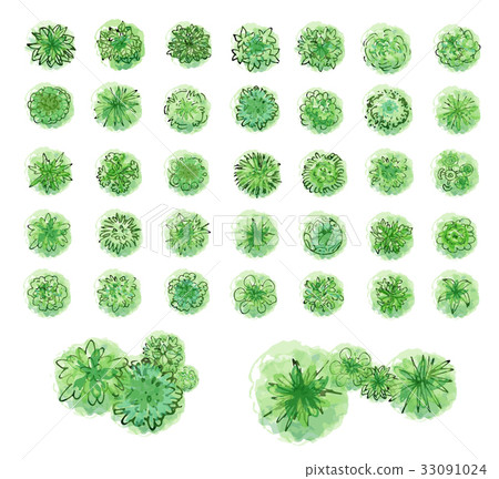 Various trees, bushes and shrubs, top view for 33091024