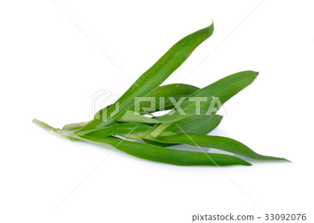fresh Beijing grass herb on white background 33092076