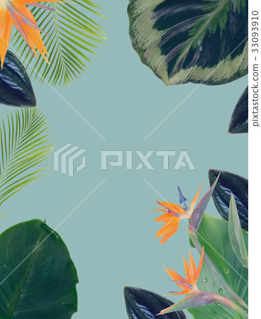 orange hibiscus flower 33093910