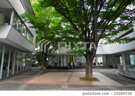 July Daikanyama 32 Daikanyama Hillside Terrace 33094598