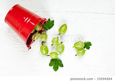 green gooseberry in metal bucket 33094884
