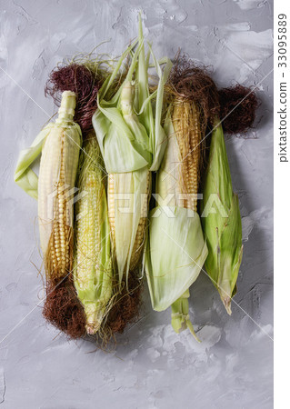 Young raw corn cobs 33095889