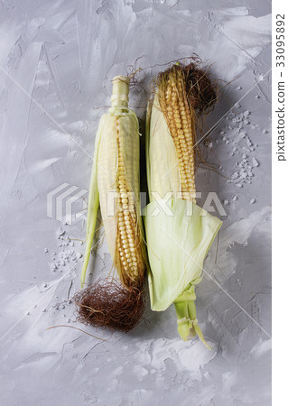 Young raw corn cobs 33095892