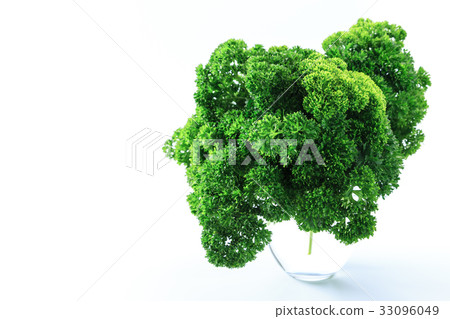 Parsley Parsley 33096049