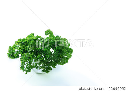 Parsley Parsley 33096062