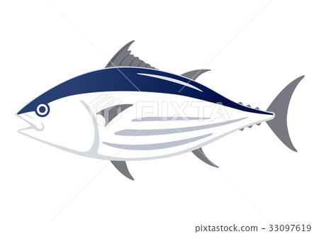 鰹魚鰹魚例證 鰹魚鰹魚例證 33097619